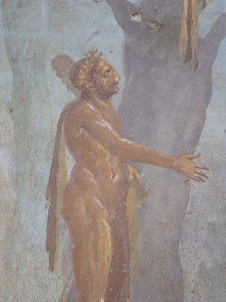 Oplontis Villa of Poppea, September 2017. Room 8, detail of Hercules from wall painting in recess on east wall.
Foto Annette Haug, ERC Grant 681269 DÉCOR