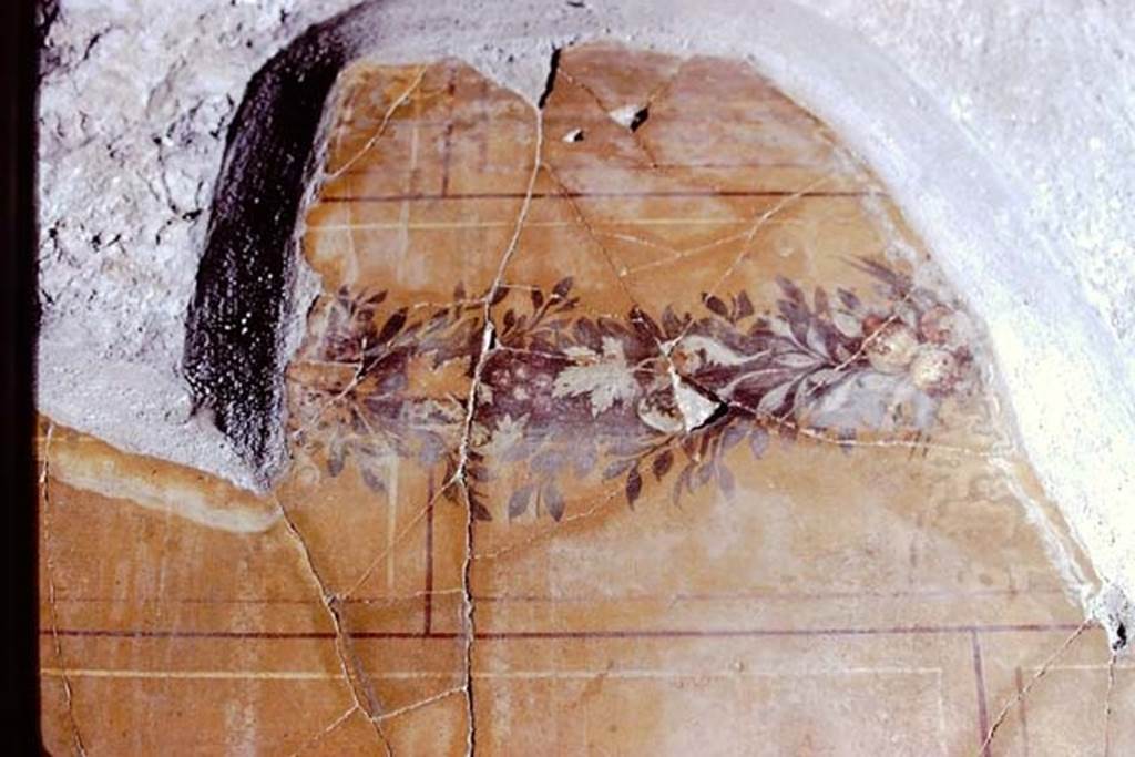 Oplontis, 1972 (or 1973). Room 11, detail of painted decoration. Photo by Stanley A. Jashemski. 
Source: The Wilhelmina and Stanley A. Jashemski archive in the University of Maryland Library, Special Collections (See collection page) and made available under the Creative Commons Attribution-Non Commercial License v.4. See Licence and use details. J72f0264