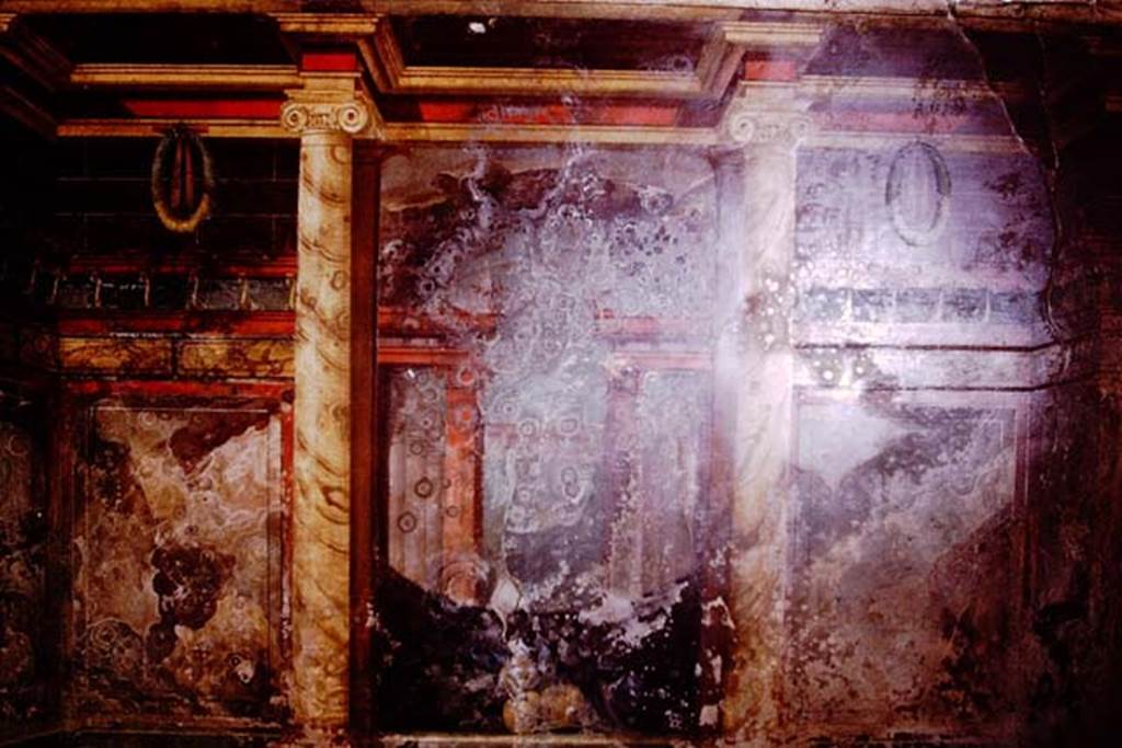 Oplontis, 1975. Painted wall. Photo by Stanley A. Jashemski.   
Source: The Wilhelmina and Stanley A. Jashemski archive in the University of Maryland Library, Special Collections (See collection page) and made available under the Creative Commons Attribution-Non Commercial License v.4. See Licence and use details. J75f0254