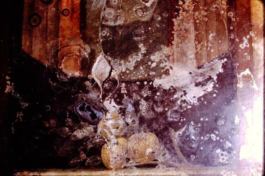 Oplontis Villa of Poppea, 1975. Room 11, details from centre of painted wall. Photo by Stanley A. Jashemski.   
Source: The Wilhelmina and Stanley A. Jashemski archive in the University of Maryland Library, Special Collections (See collection page) and made available under the Creative Commons Attribution-Non-Commercial License v.4. See Licence and use details.
J75f0251