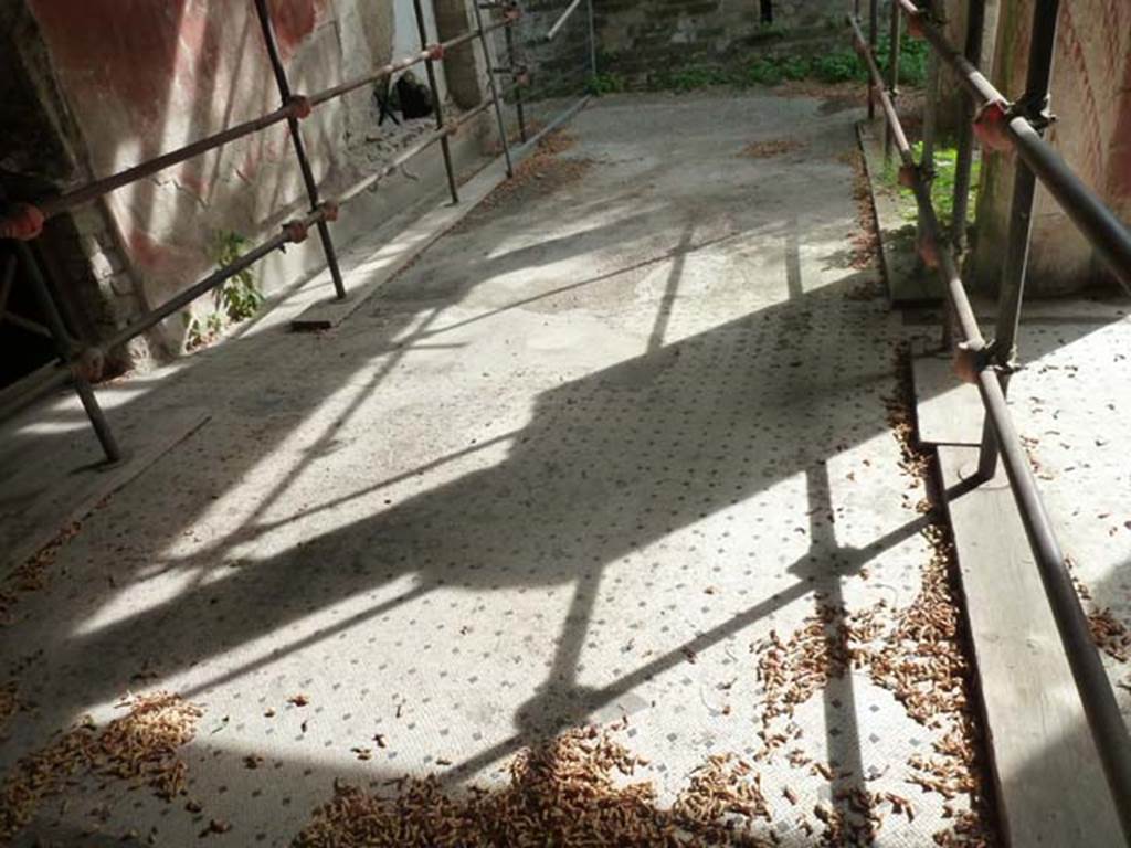 Oplontis, September 2015. Portico 13, looking south along flooring.