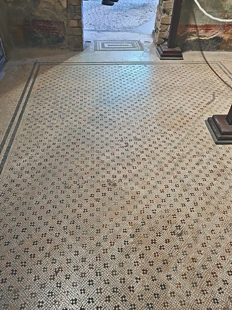 Oplontis Villa of Poppea, October 2023. 
Room 14, looking west across flooring towards doorway to room 15. Photo courtesy of Giuseppe Ciaramella.