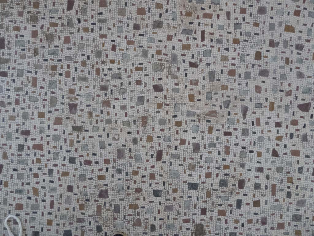 Oplontis Villa of Poppea, September 2017. Room 15, detail of flooring.
Foto Annette Haug, ERC Grant 681269 DÉCOR.