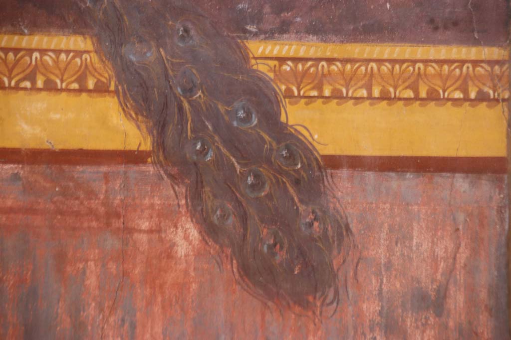 Oplontis Villa of Poppea, September 2021. 
Room 15, detail of tail of painted peacock from north end of east wall. Photo courtesy of Klaus Heese.