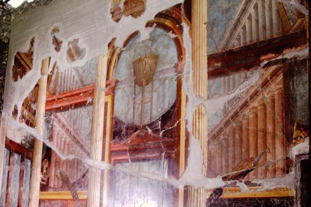 Oplontis Villa of Poppea, 1974. Room 15, detail of painted upper east wall in oecus. Photo by Stanley A. Jashemski.   
Source: The Wilhelmina and Stanley A. Jashemski archive in the University of Maryland Library, Special Collections (See collection page) and made available under the Creative Commons Attribution-Non-Commercial License v.4. See Licence and use details.
74f0668