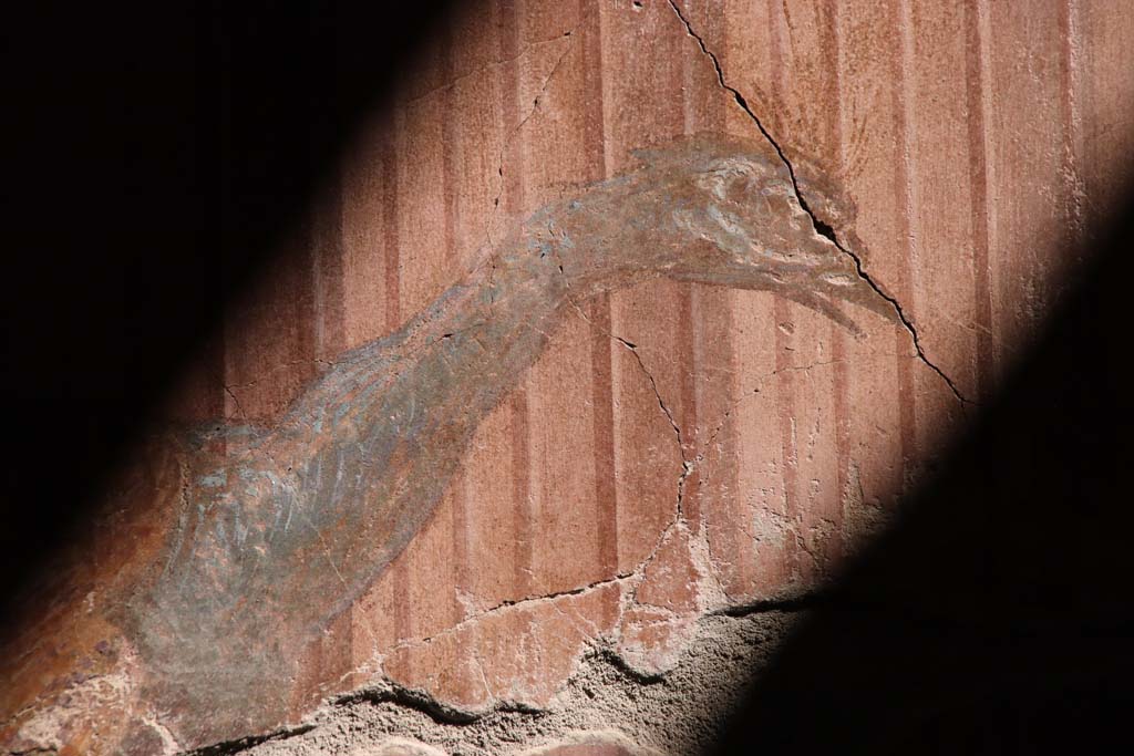 Oplontis Villa of Poppea, September 2021. 
Room 15, detail of painted peacock from south end of east wall. Photo courtesy of Klaus Heese.