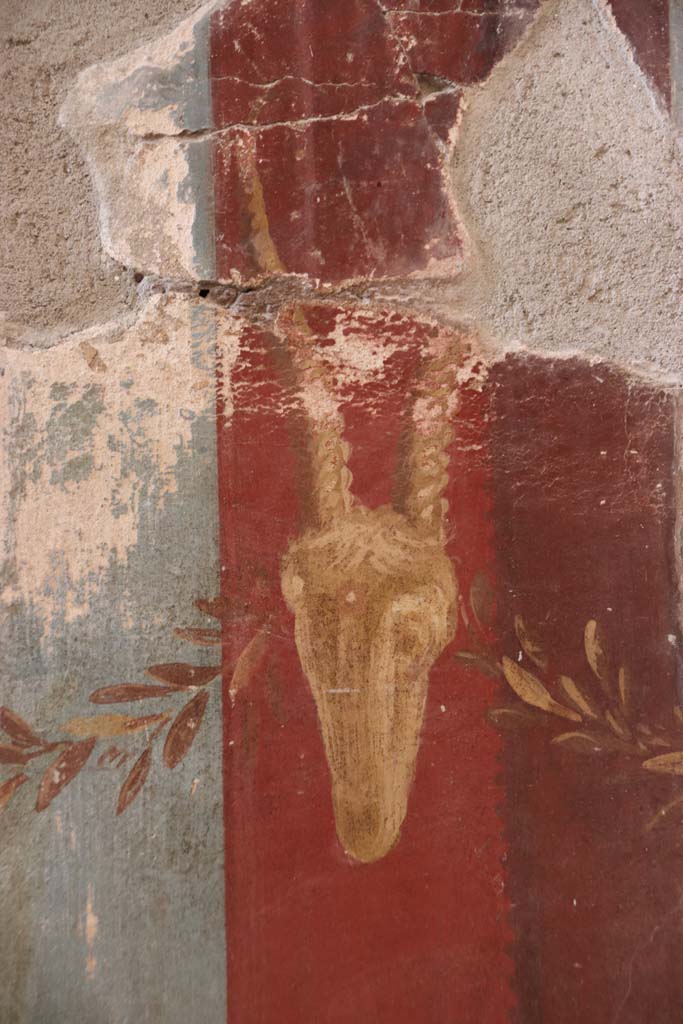 Oplontis Villa of Poppea, September 2021. 
Room 15, detail of painted Bukranium at side of doorway to room 14, in east wall in south-east corner. 
Photo courtesy of Klaus Heese.