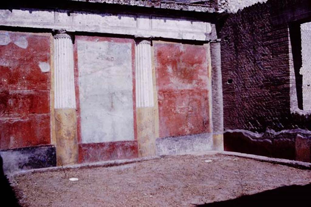 Oplontis, 1977. Room 20, looking towards west wall and north-west corner, and two white painted root cavities. Photo by Stanley A. Jashemski.   
Source: The Wilhelmina and Stanley A. Jashemski archive in the University of Maryland Library, Special Collections (See collection page) and made available under the Creative Commons Attribution-Non Commercial License v.4. See Licence and use details.
J77f0328