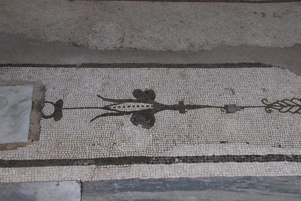 Oplontis Villa of Poppea, May 2024.  
Room 21, detail of threshold between two columns, from centre of north side of large room at east end. Photo courtesy of Klaus Heese.