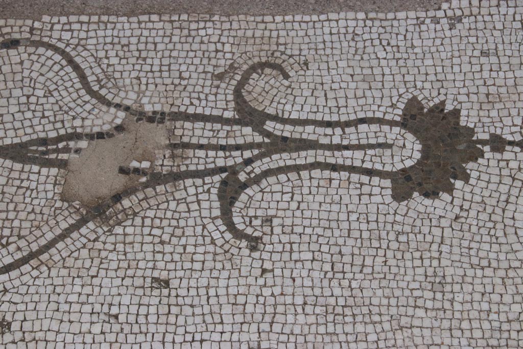 Oplontis Villa of Poppea, May 2024.  
Room 21, detail of from west side of middle of threshold between two columns. Photo courtesy of Klaus Heese.