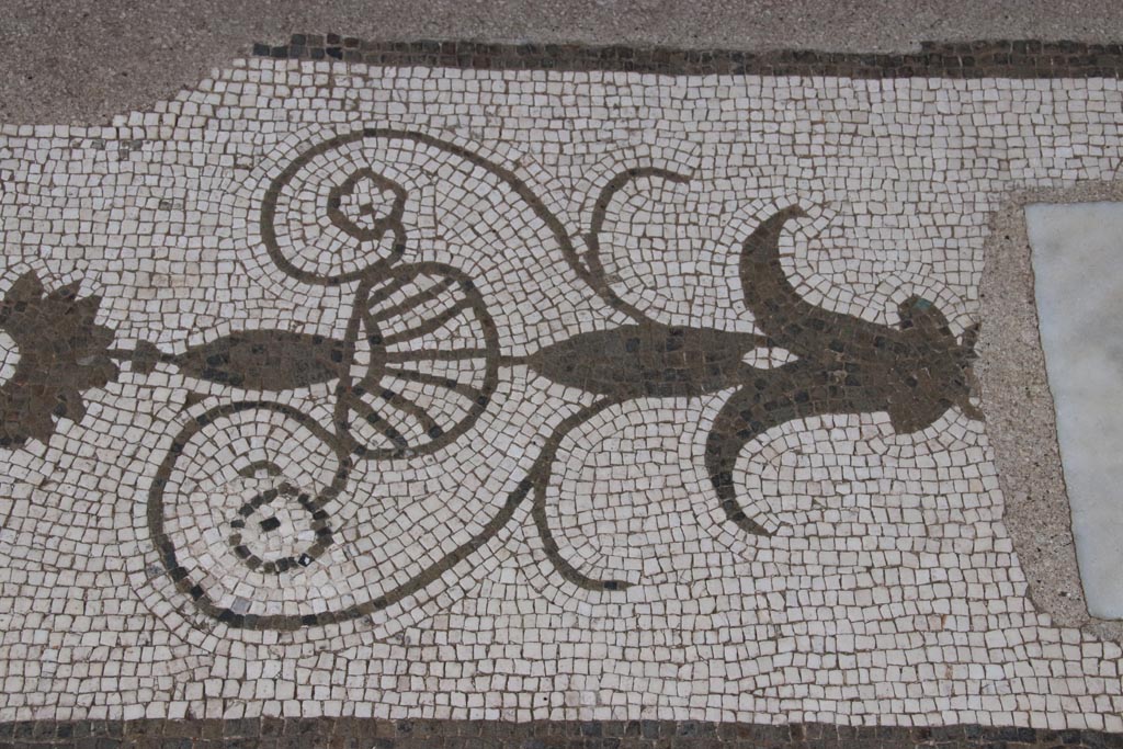 Oplontis Villa of Poppea, May 2024.  
Room 21, detail of mosaic from west side of threshold between two columns of large room. Photo courtesy of Klaus Heese.