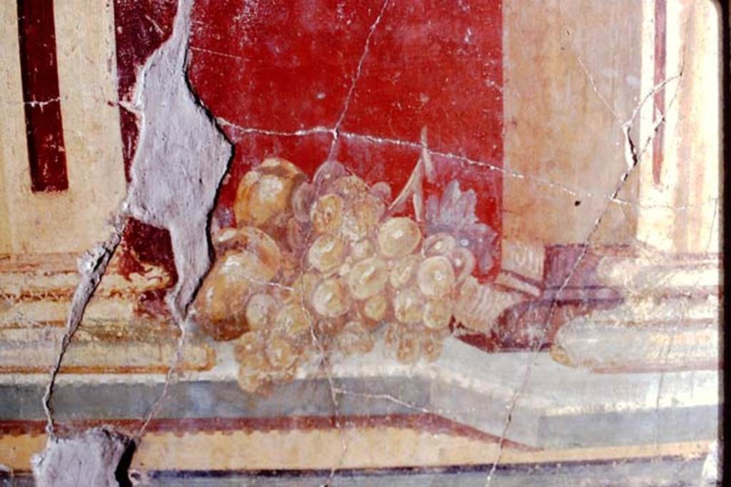 Oplontis, 1972 (or 1973).  Room 23, painted still-life of a bunch of grapes. Photo by Stanley A. Jashemski. 
Source: The Wilhelmina and Stanley A. Jashemski archive in the University of Maryland Library, Special Collections (See collection page) and made available under the Creative Commons Attribution-Non Commercial License v.4. See Licence and use details. J72f0258