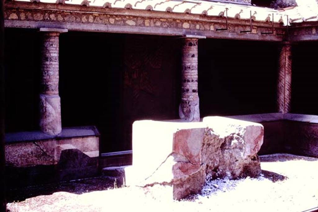 Oplontis, 1977. Room 32, the rustic peristyle, looking west.  Photo by Stanley A. Jashemski.   
Source: The Wilhelmina and Stanley A. Jashemski archive in the University of Maryland Library, Special Collections (See collection page) and made available under the Creative Commons Attribution-Non Commercial License v.4. See Licence and use details. J77f0359