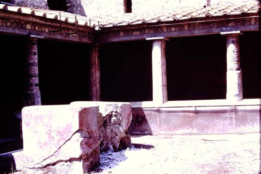 Oplontis, 1977. Room 32, the rustic peristyle, looking north.  Photo by Stanley A. Jashemski.   
Source: The Wilhelmina and Stanley A. Jashemski archive in the University of Maryland Library, Special Collections (See collection page) and made available under the Creative Commons Attribution-Non Commercial License v.4. See Licence and use details. J77f0360