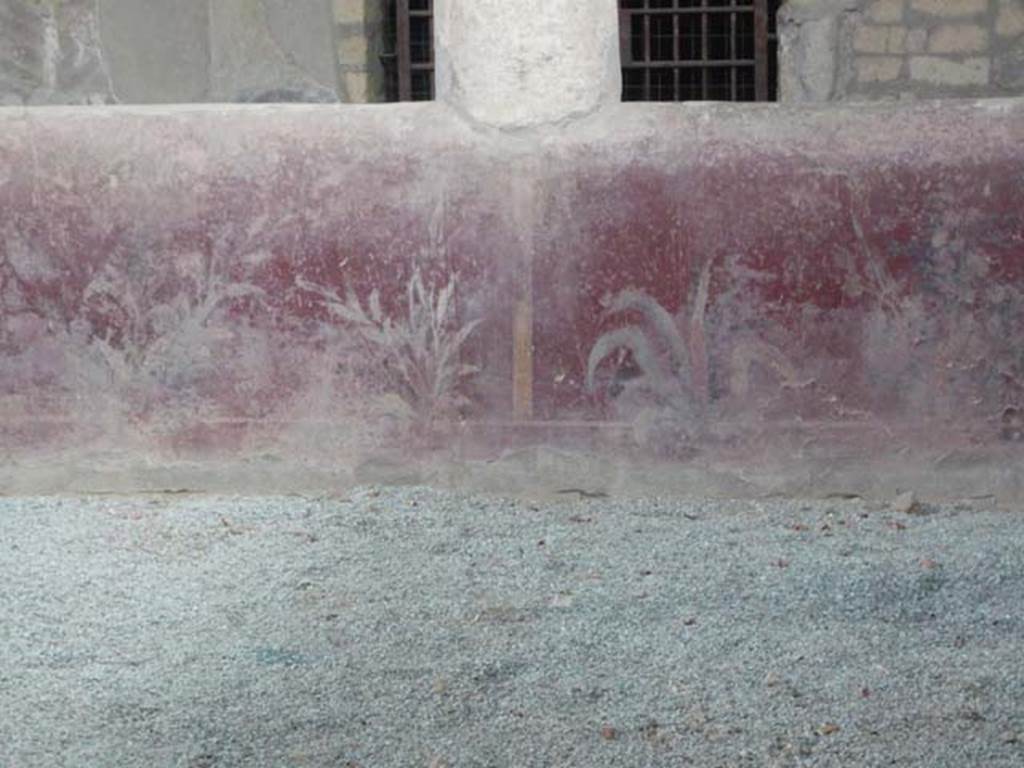 Oplontis, 1974. Room 32, painted plants on the pluteus of the rustic courtyard. Photo courtesy of Buzz Ferebee.