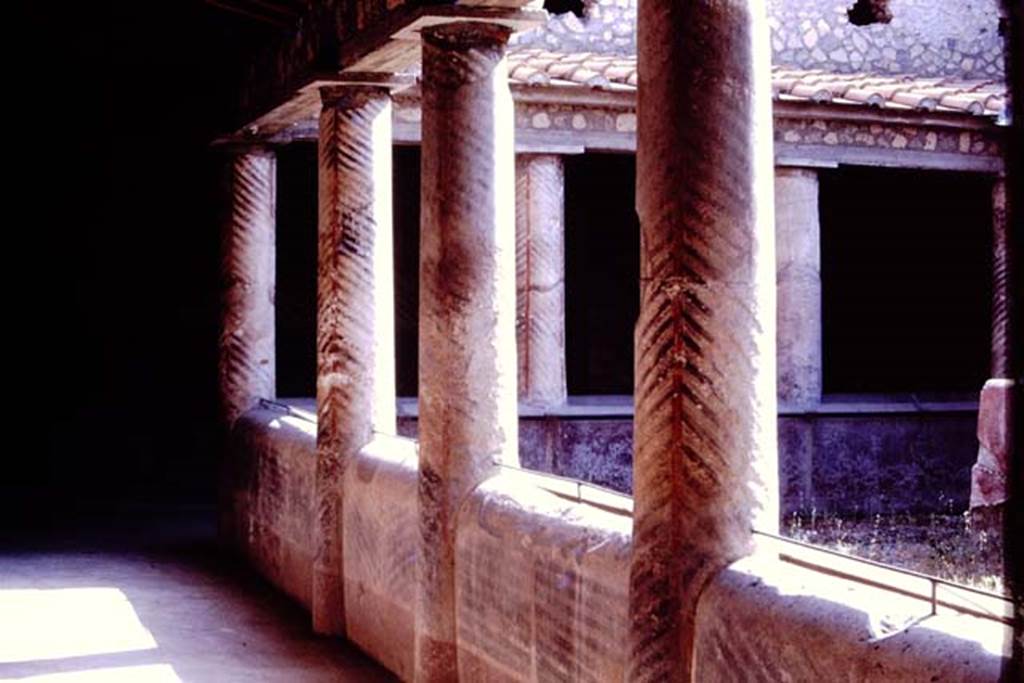 Oplontis, 1977. Room 32, the rustic courtyard. Looking south along east side. Photo by Stanley A. Jashemski.   
Source: The Wilhelmina and Stanley A. Jashemski archive in the University of Maryland Library, Special Collections (See collection page) and made available under the Creative Commons Attribution-Non Commercial License v.4. See Licence and use details. J77f0202