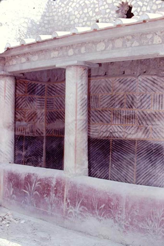 Oplontis, 1974. Room 32, rustic peristyle, with painted plants on the pluteus. 
Photo by Stanley A. Jashemski.   
Source: The Wilhelmina and Stanley A. Jashemski archive in the University of Maryland Library, Special Collections (See collection page) and made available under the Creative Commons Attribution-Non Commercial License v.4. See Licence and use details. J74f0642