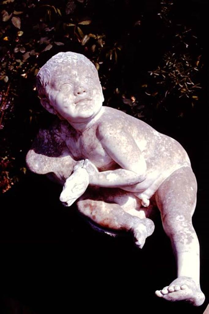 Oplontis, 1978. White marble statue of a young child with a goose. Photo by Stanley A. Jashemski.   
Source: The Wilhelmina and Stanley A. Jashemski archive in the University of Maryland Library, Special Collections (See collection page) and made available under the Creative Commons Attribution-Non Commercial License v.4. See Licence and use details. J78f0487
According to De Caro, perhaps this statue may have come from the fountain with the cascade at the centre of the garden in the rustic courtyard. 
See De Caro, S.1976. Sculture dalla villa “di Poppea” in Oplontis (p.197) in Cronache Pompeiane, II, 1976, (p.184-225)