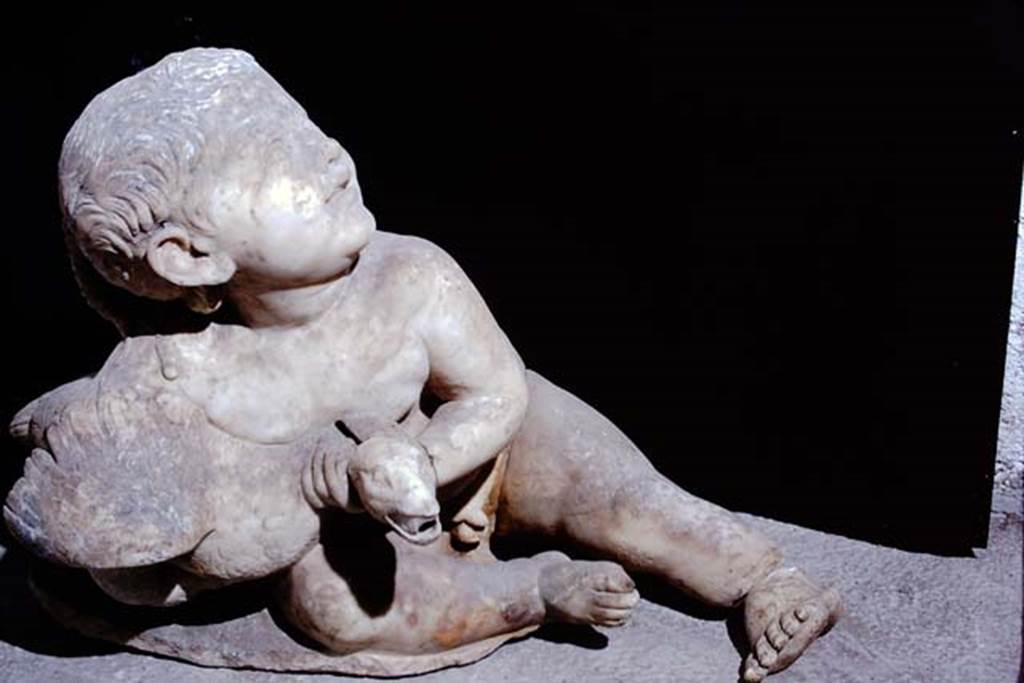 Oplontis, 1975. White marble statue of a young child with a goose. Photo by Stanley A. Jashemski.   
Source: The Wilhelmina and Stanley A. Jashemski archive in the University of Maryland Library, Special Collections (See collection page) and made available under the Creative Commons Attribution-Non Commercial License v.4. See Licence and use details. J75f0425