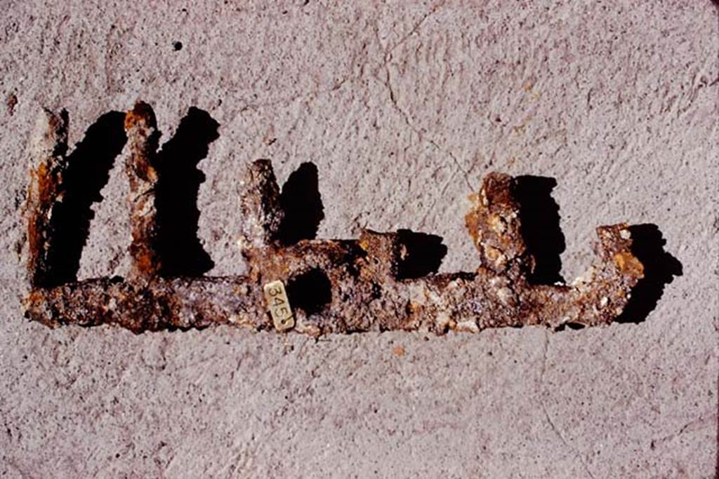 Oplontis, 1974. Rake found in rustic peristyle, room 32. Photo by Stanley A. Jashemski.   
Source: The Wilhelmina and Stanley A. Jashemski archive in the University of Maryland Library, Special Collections (See collection page) and made available under the Creative Commons Attribution-Non Commercial License v.4. See Licence and use details. J74f0195