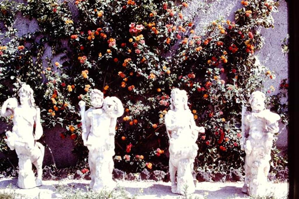Oplontis, 1978. Portico 33, a group of four centaurs were found under the portico on 17th February 1970. Photo by Stanley A. Jashemski.   
Source: The Wilhelmina and Stanley A. Jashemski archive in the University of Maryland Library, Special Collections (See collection page) and made available under the Creative Commons Attribution-Non Commercial License v.4. See Licence and use details. J78f0480