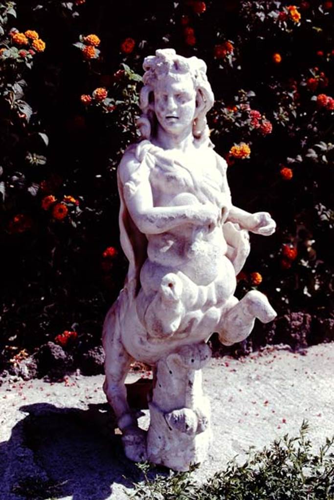 Oplontis, 1978. One of a group of four centaurs, a female holding a club and a lyre. 
Two centaur fountains would have been seen on each side of the passageway.
There was no evidence of pipes, so they had not been used as fountains in their final location. Photo by Stanley A. Jashemski.   
Source: The Wilhelmina and Stanley A. Jashemski archive in the University of Maryland Library, Special Collections (See collection page) and made available under the Creative Commons Attribution-Non Commercial License v.4. See Licence and use details. J78f0475