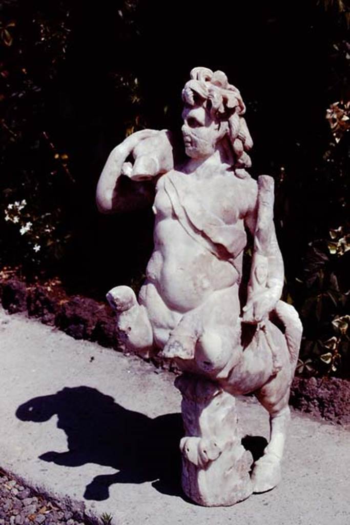 Oplontis, 1978. One of a group of four centaurs, a female holding a club and a fawn on her shoulder. Two centaur fountains would have bee seen on each side of the central passageway in the north garden. There was no evidence of pipes, so they had not been used as fountains in their final location. Photo by Stanley A. Jashemski.   
Source: The Wilhelmina and Stanley A. Jashemski archive in the University of Maryland Library, Special Collections (See collection page) and made available under the Creative Commons Attribution-Non Commercial License v.4. See Licence and use details. J78f0479