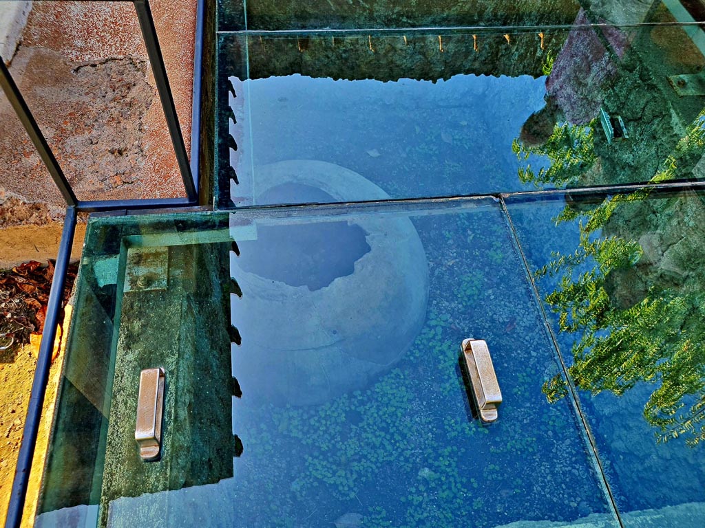 Oplontis Villa of Poppea, October 2023. 
East Portico 34, dolium embedded in soil in north garden, under glass. Photo courtesy of Giuseppe Ciaramella.