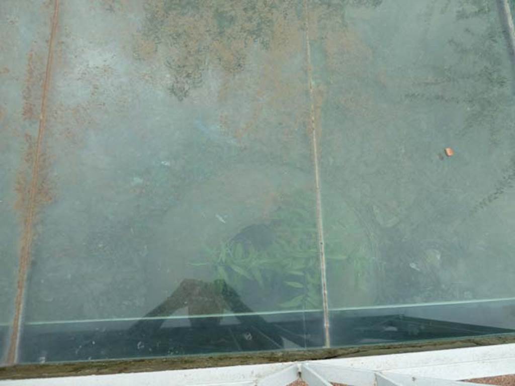 Oplontis, September 2015. Dolium embedded in soil in north garden, under glass.