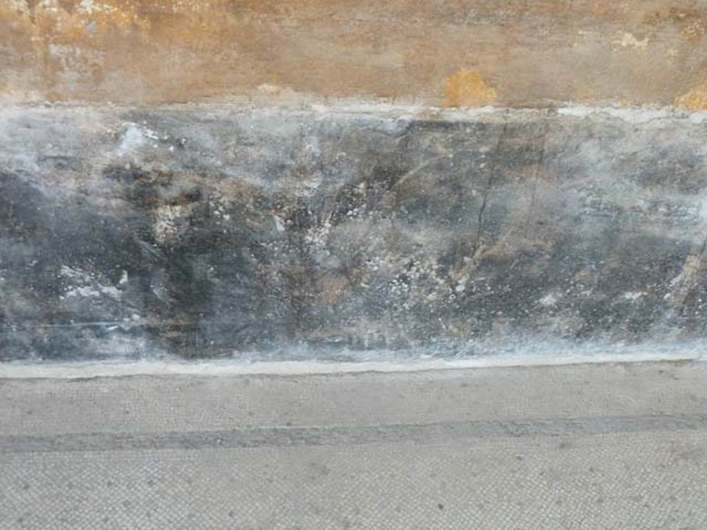 Oplontis, September 2015. East Portico 34, black zoccolo with painted plants.