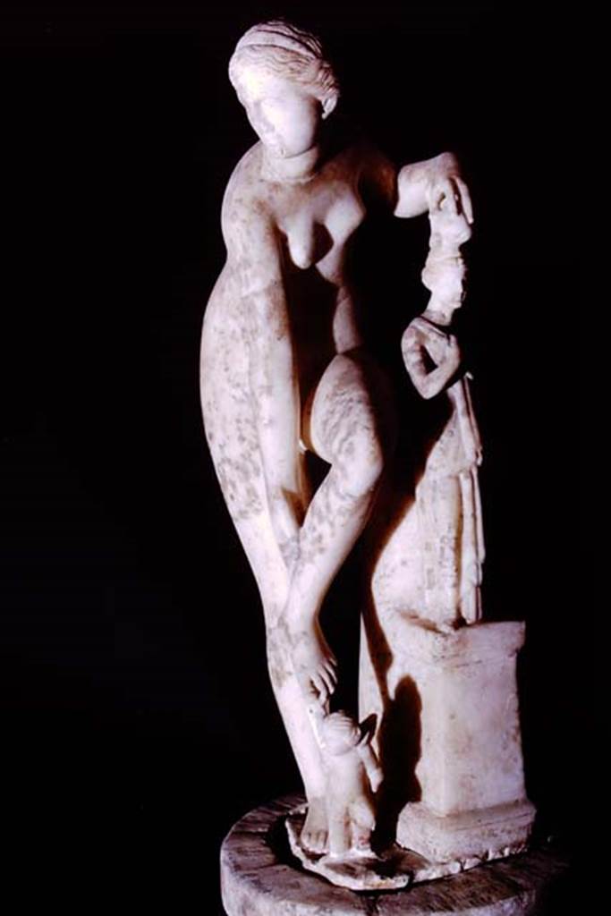 Oplontis, 1975. Statue of Venus loosening her sandal before taking a bath, found 4th September 1973, in room 35. Photo by Stanley A. Jashemski.   
Source: The Wilhelmina and Stanley A. Jashemski archive in the University of Maryland Library, Special Collections (See collection page) and made available under the Creative Commons Attribution-Non Commercial License v.4. See Licence and use details. J75f0137
According to De Caro, this statue was found in room 35 which was a storeroom in the servants’ area, in which other fragments of sculpture and a large amount of household equipment of the villa were found. 
See De Caro, S.1976. Sculture dalla villa “di Poppea” in Oplontis (p.219) in Cronache Pompeiane, II, 1976, (p.184-225)