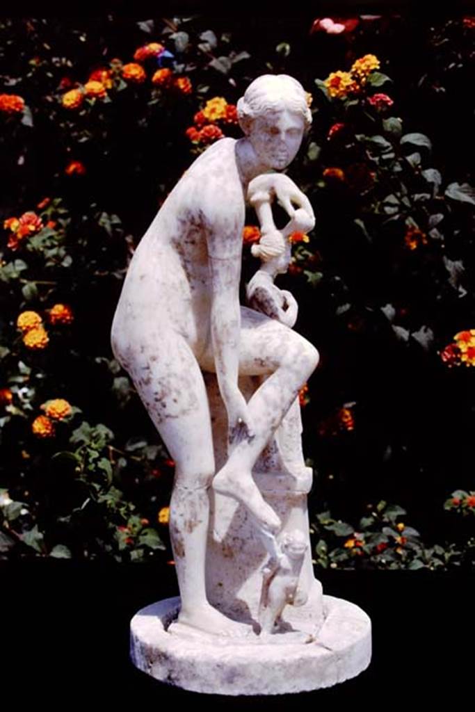 Oplontis, 1978. Statue of Venus. Photo by Stanley A. Jashemski.   
Source: The Wilhelmina and Stanley A. Jashemski archive in the University of Maryland Library, Special Collections (See collection page) and made available under the Creative Commons Attribution-Non Commercial License v.4. See Licence and use details. J78f0490