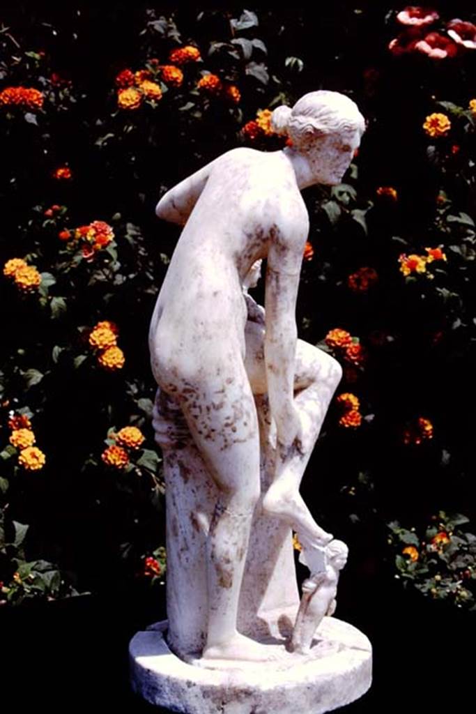 Oplontis, 1978. Statue of Venus. Photo by Stanley A. Jashemski.   
Source: The Wilhelmina and Stanley A. Jashemski archive in the University of Maryland Library, Special Collections (See collection page) and made available under the Creative Commons Attribution-Non Commercial License v.4. See Licence and use details. J78f0492