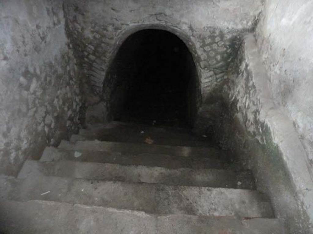 Oplontis, September 2015. Room 36, steps to lower floor. According to Malandrino -  
“After the excavation of the staircase ramp and part of a sloping corridor, exploration was interrupted because of the Sarno Canal above. There are three possible reasons for these stairs: the first was that it was leading to a basement: the second that it gave access to a cryptoporticus which extended along the southern side, and the third that it formed an entrance, on a lower level, from the coastal roadway passing on the southern side.”
See Malandrino, Carlo. 1978. “Oplontis”, Napoli, (p.77-78)