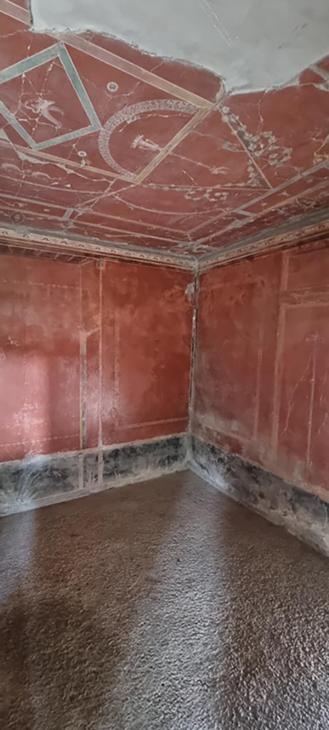 Oplontis Villa of Poppea, January 2023. 
Room 38, north-east corner of ceiling and walls.
Photo courtesy of Miriam Colomer.
