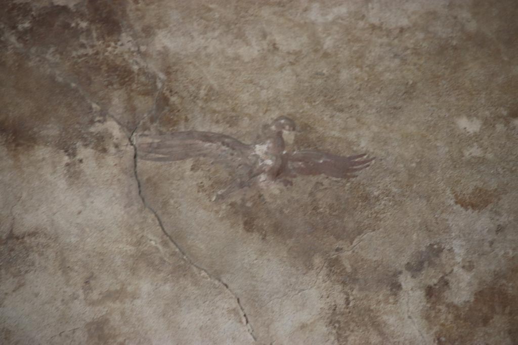 Oplontis Villa of Poppea, May 2024. 
Portico 40, detail of painted bird from centre of panel on upper north wall in north-east corner. Photo courtesy of Klaus Heese.
