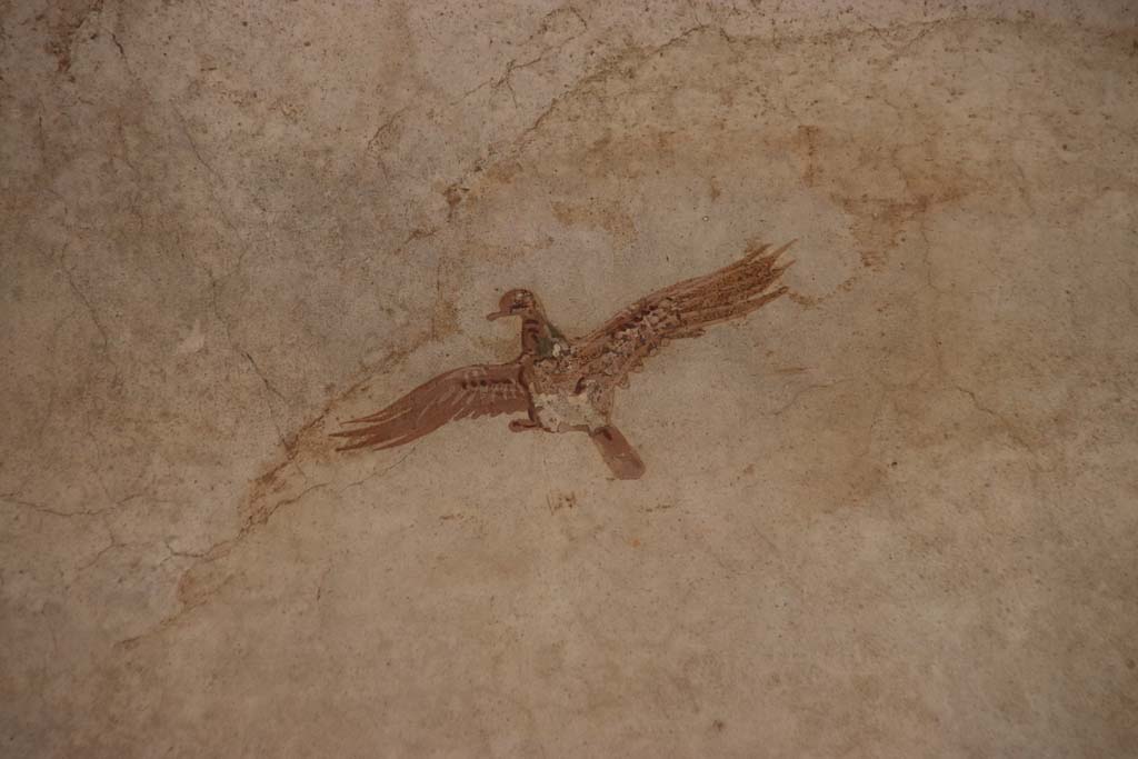 Oplontis Villa of Poppea, September 2021. Portico 40, east wall, painted wall decoration. Photo courtesy of Klaus Heese.