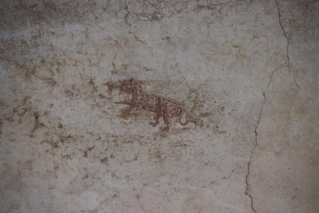 Villa of Poppaea, Oplontis, October 2023. 
Portico 40, painted wall decoration of leopard from upper east wall on right side of middle decoration.  Photo courtesy of Klaus Heese.
