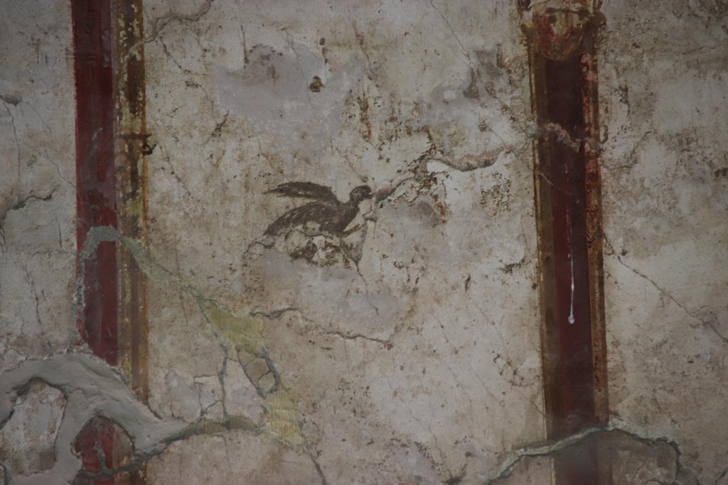 Oplontis Villa of Poppea, May 2024. 
Room 41, detail of painted bird from upper west wall of alcove, on right. Photo courtesy of Klaus Heese.