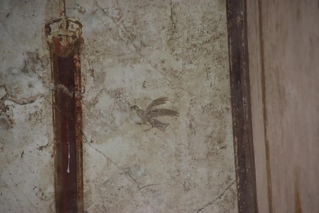 Oplontis Villa of Poppea, May 2024. 
Room 41, detail of painted bird from upper west wall of alcove, on right. Photo courtesy of Klaus Heese.