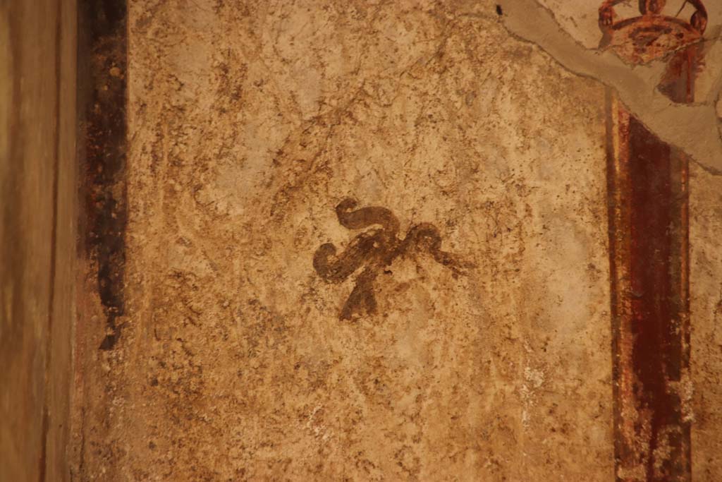 Oplontis Villa of Poppea, October2020. Room 41, detail of painted decoration from upper north wall of alcove, at west end. 
Photo courtesy of Klaus Heese.