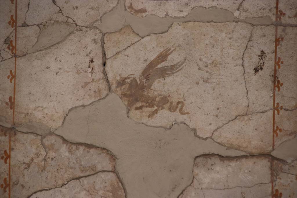 Oplontis Villa of Poppea, September 2021.  
Room 41, detail of painted decoration from centre of upper north wall of alcove. Photo courtesy of Klaus Heese.