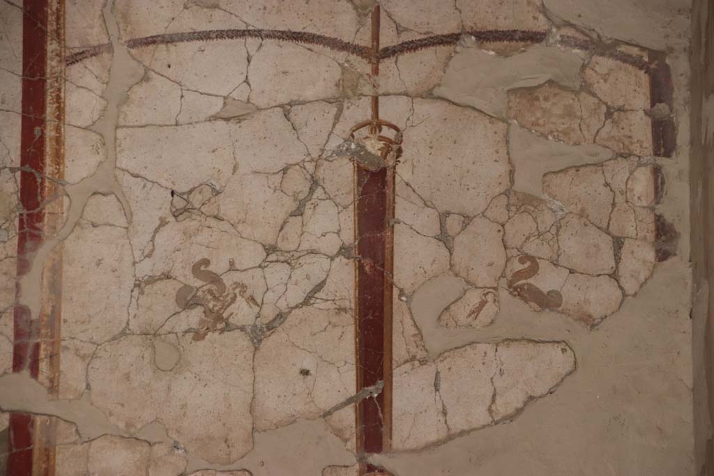 Oplontis Villa of Poppea, September 2021.  
Room 41, detail of painted decoration from upper north wall of alcove, at east end. Photo courtesy of Klaus Heese.