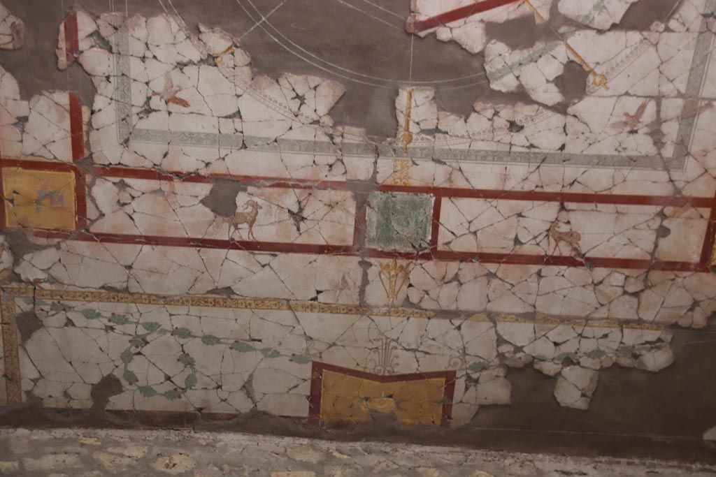 Oplontis Villa of Poppea, May 2024. Corridor 46, detail of painted decoration on ceiling near north wall. Photo courtesy of Klaus Heese.