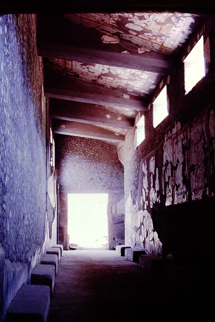 Oplontis Villa of Poppea, 1977. 
Room 46, corridor with benches, looking east towards doorway to portico 60. Photo by Stanley A. Jashemski. 
Source: The Wilhelmina and Stanley A. Jashemski archive in the University of Maryland Library, Special Collections (See collection page) and made available under the Creative Commons Attribution-Non-Commercial License v.4. See Licence and use details.
J77f0201