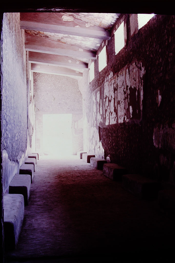 Oplontis Villa of Poppea, 1977.
Room 46, corridor with benches, looking east towards doorway to portico 60. Photo by Stanley A. Jashemski. 
Source: The Wilhelmina and Stanley A. Jashemski archive in the University of Maryland Library, Special Collections (See collection page) and made available under the Creative Commons Attribution-Non-Commercial License v.4. See Licence and use details.
J77f0211