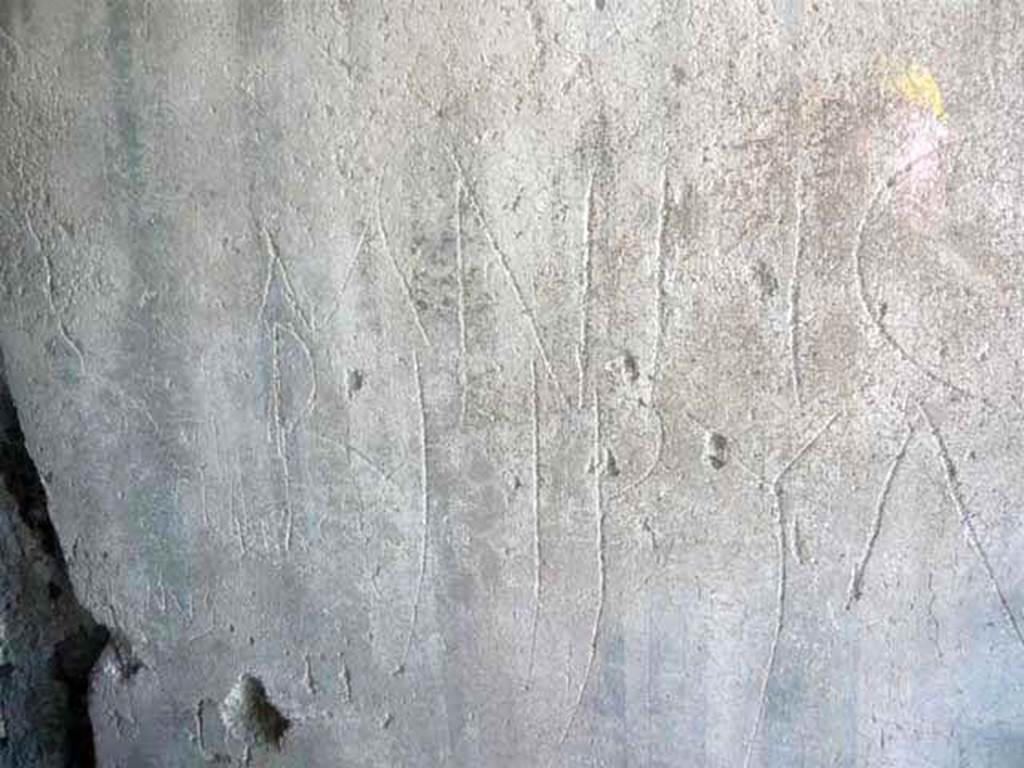 Oplontis, May 2011. Room 52, graffiti on west wall, written in Greek by a certain Beryllos, reading “Mnesthei Beryllos” (or “Be Beryllos remembered”). Photo courtesy of Buzz Ferebee.