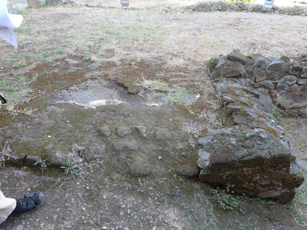 Oplontis, September 2015. Room 54, remains of doorway? or wall foundations in south wall. Looking north.