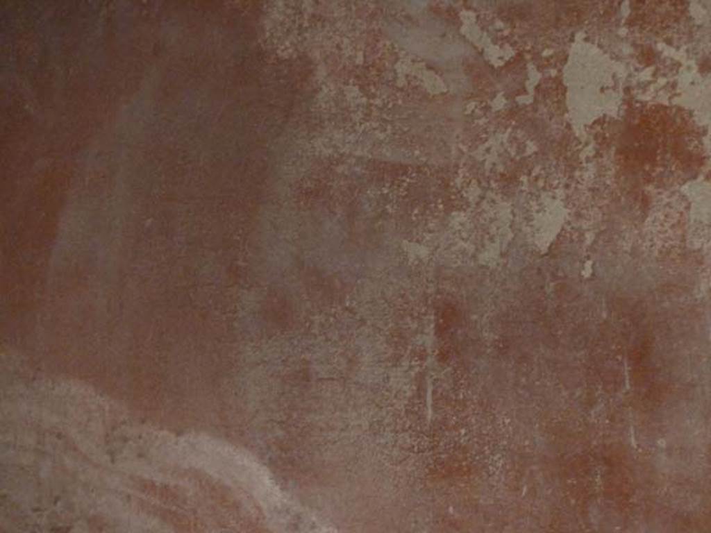 Oplontis, September 2015. Room 55, painted bird in middle of red panel on south wall.