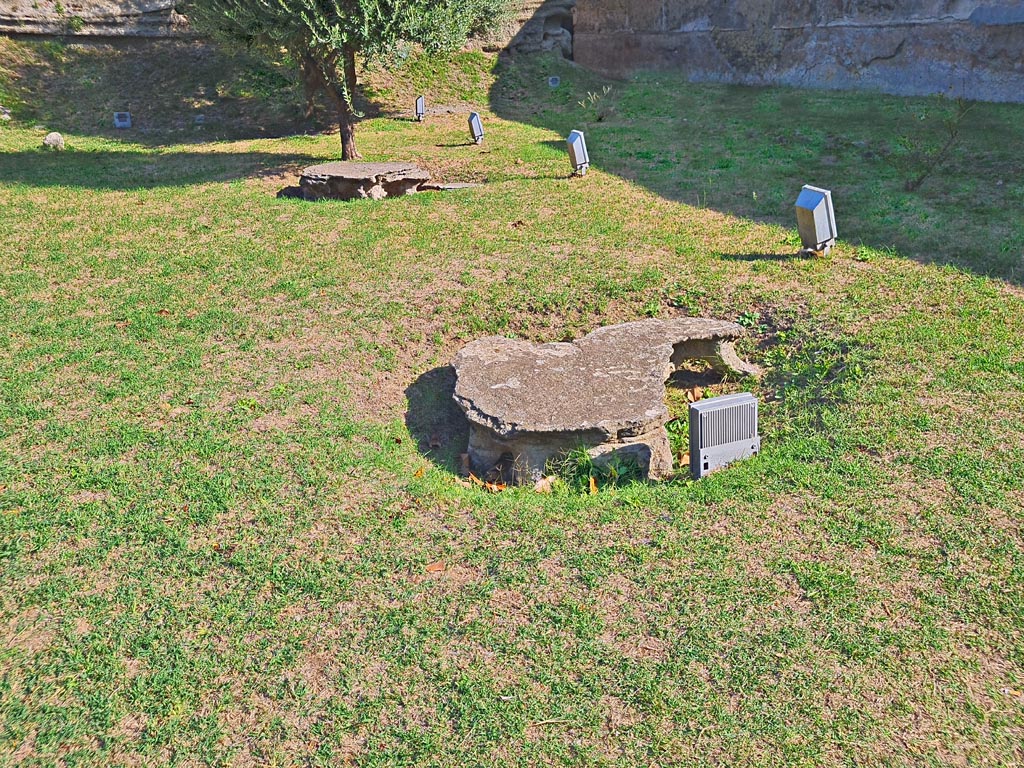 Oplontis Villa of Poppea, October 2023. 
Looking north-east across north garden 56 towards unexcavated and plaster casts of Jashemski tree roots. Photo courtesy of Giuseppe Ciaramella.